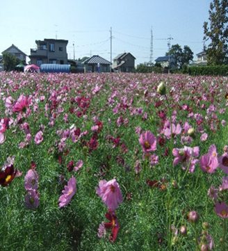 中ノ町環境保全会（浜松市）
