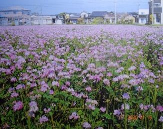 東町水環境委員会(島田市)