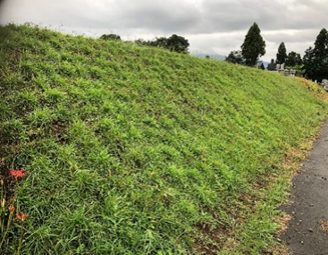 美しい中丸の会(御殿場市)