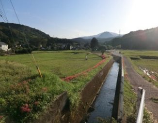 十足農地と水辺の会（伊東市）