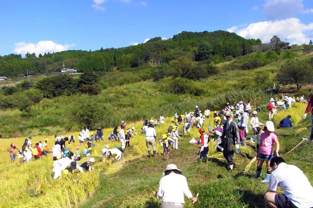 株式会社沖開発