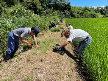 美しい中丸の会（御殿場市）