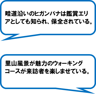 十足農地と水辺の会(伊東市)
