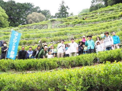 チャフカ隊の奥長島のだんだん茶畑保全活動