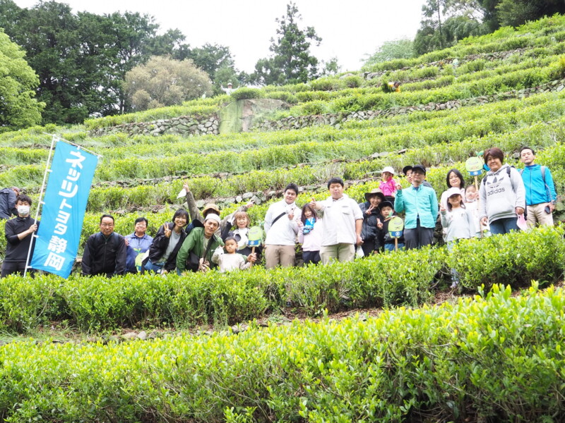 チャフカ隊の奥長島のだんだん茶畑保全活動