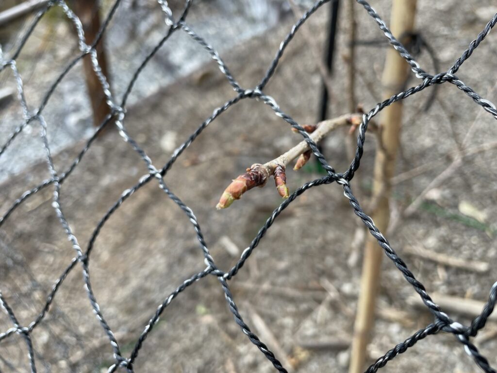 ナカダ産業株式会社