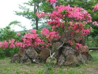 大好き!渋川(浜松市北区)