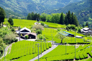 歴史と自然が奏でる里山 三倉（周智郡森町）