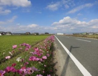 なわて会（袋井市）