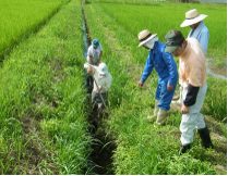 一宮の水と環境を守る会（森町）