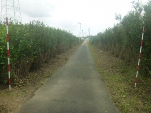 10区望みの会(磐田市)