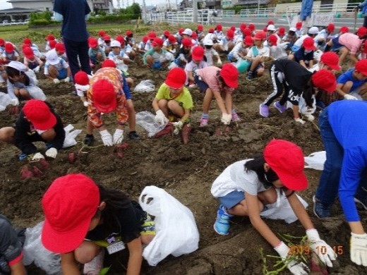けっこい中郡（浜松市）