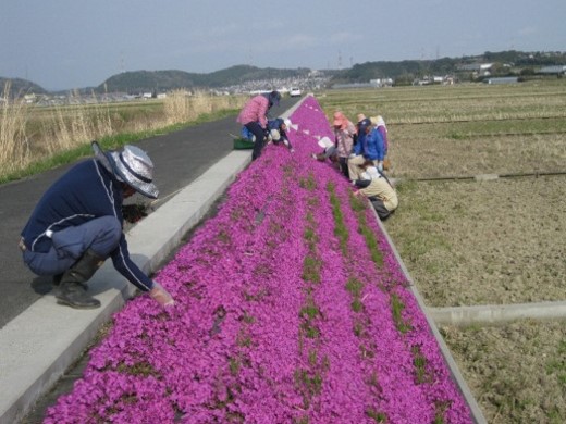 中川地域環境推進会(浜松市)