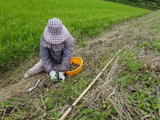 三井美農里プロジェクト(掛川市)
