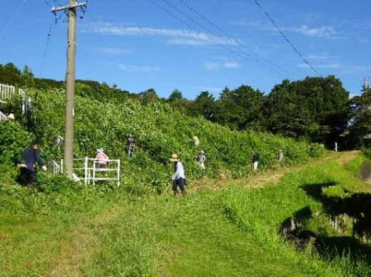 三井美農里プロジェクト(掛川市)