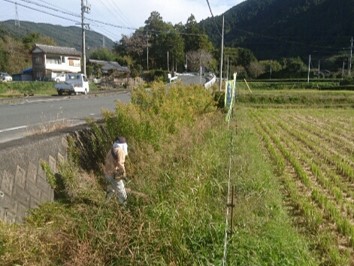 大麓里山の会（掛川市）