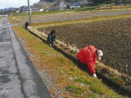 桜木西美農里ネット(掛川市)