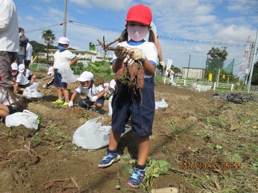 田原みどりの会(磐田市)