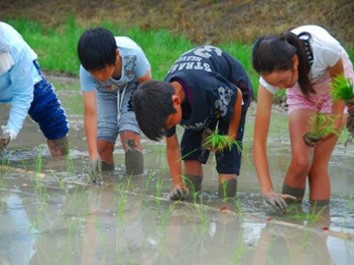 坂部みどりネットワーク(牧之原市)