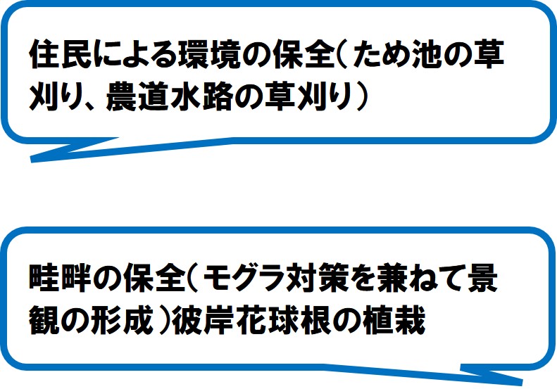 三井美農里プロジェクト(掛川市)