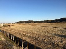 内浦耕作組合(湖西市)