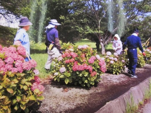 中川地域環境推進会(浜松市)