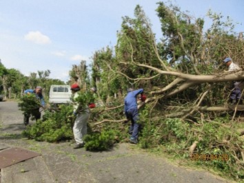興津中本町農地環境保全会(静岡市)