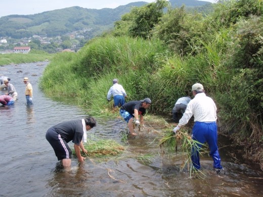 加殿用水を守る会（伊豆市）