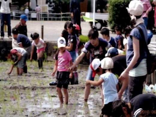 高柳美野里会(藤枝市)