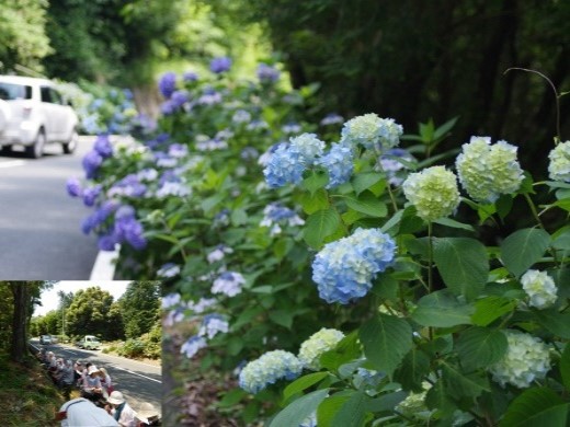 三ヶ日東部地区農地・水・環境保全管理協定(浜松市)