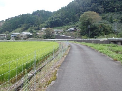 玉取里山プロジェクト(藤枝市)