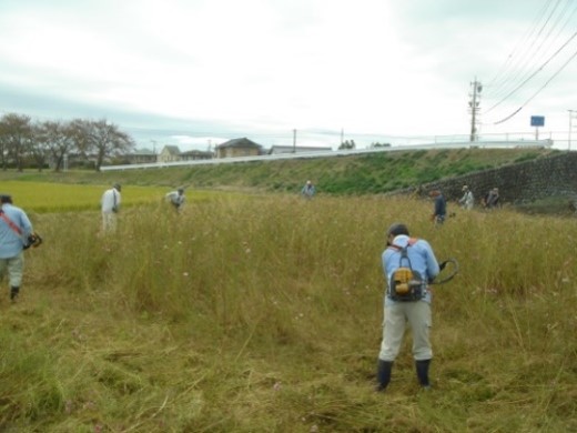 大新島四季の里クラブ(藤枝市)