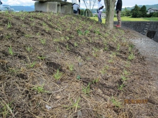 清郷ネット（御殿場市）