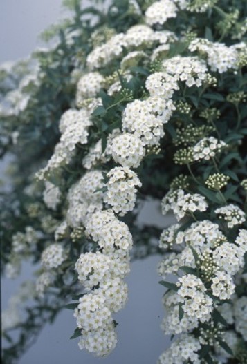 入出総パ保全組合(湖西市)