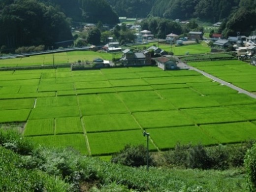 越地　環境保全の会（島田市）