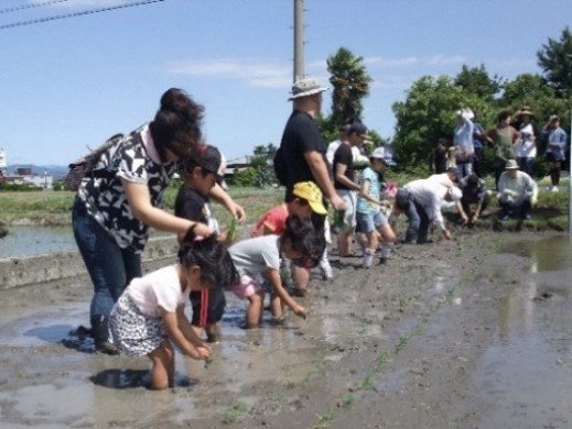 中の島地域環境保全活動組織（焼津市）