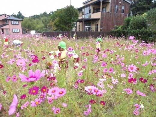 伊佐見地域農地・水・環境保全管理協定（浜松市）