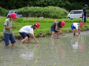田野址夢会(菊川市)