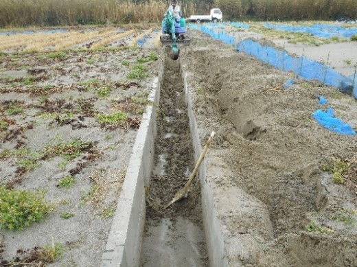 浜野美野里会(掛川市)