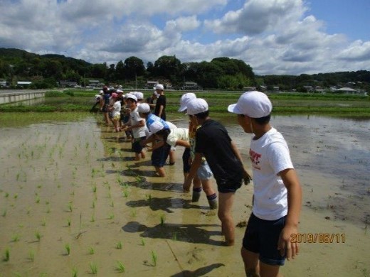 水と緑北都の会(浜松市)