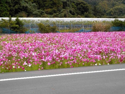 小坂環境保全協議会(静岡市)