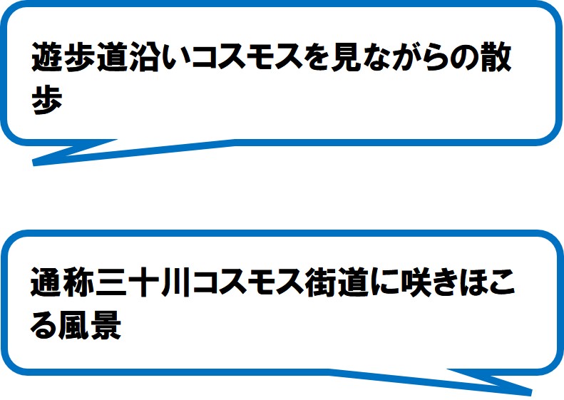 遊家家代環境保全委員会(掛川市)