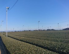 平城グリーン活動組織(牧之原市)