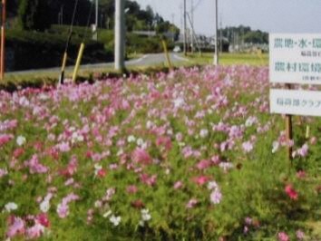 稲荷部自然環境保全クラブ(菊川市)