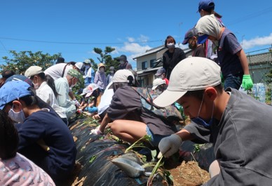藤野みどりの会(磐田市)