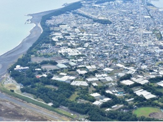 三保・折戸地区営農振興会(静岡市)