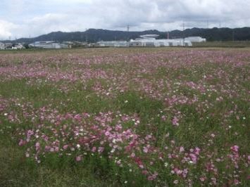 ひがし水土里の会(袋井市)