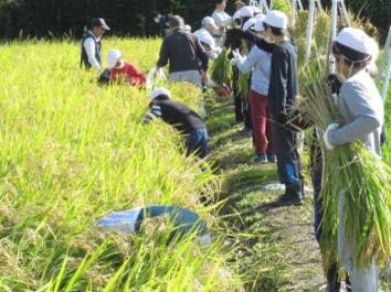 いまい保全の会(袋井市)