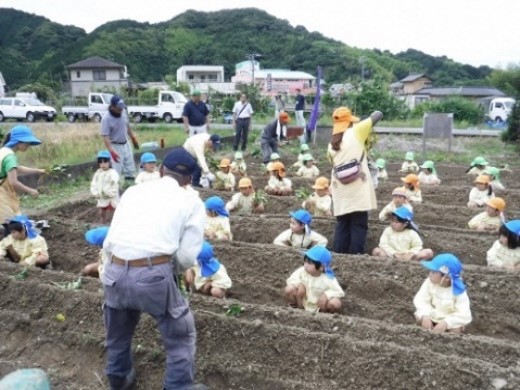 あさはた東農地保全会(静岡市)