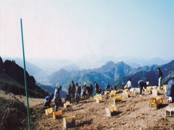 平山農地保全の会(静岡市)